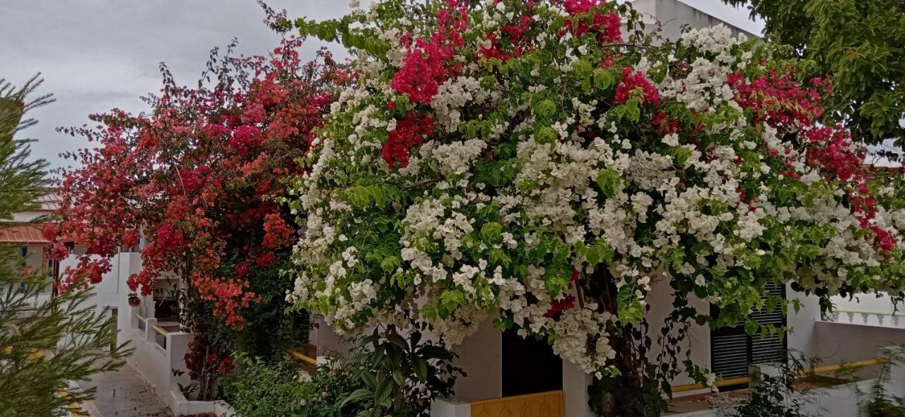 Le Boucanier Tavira Luaran gambar