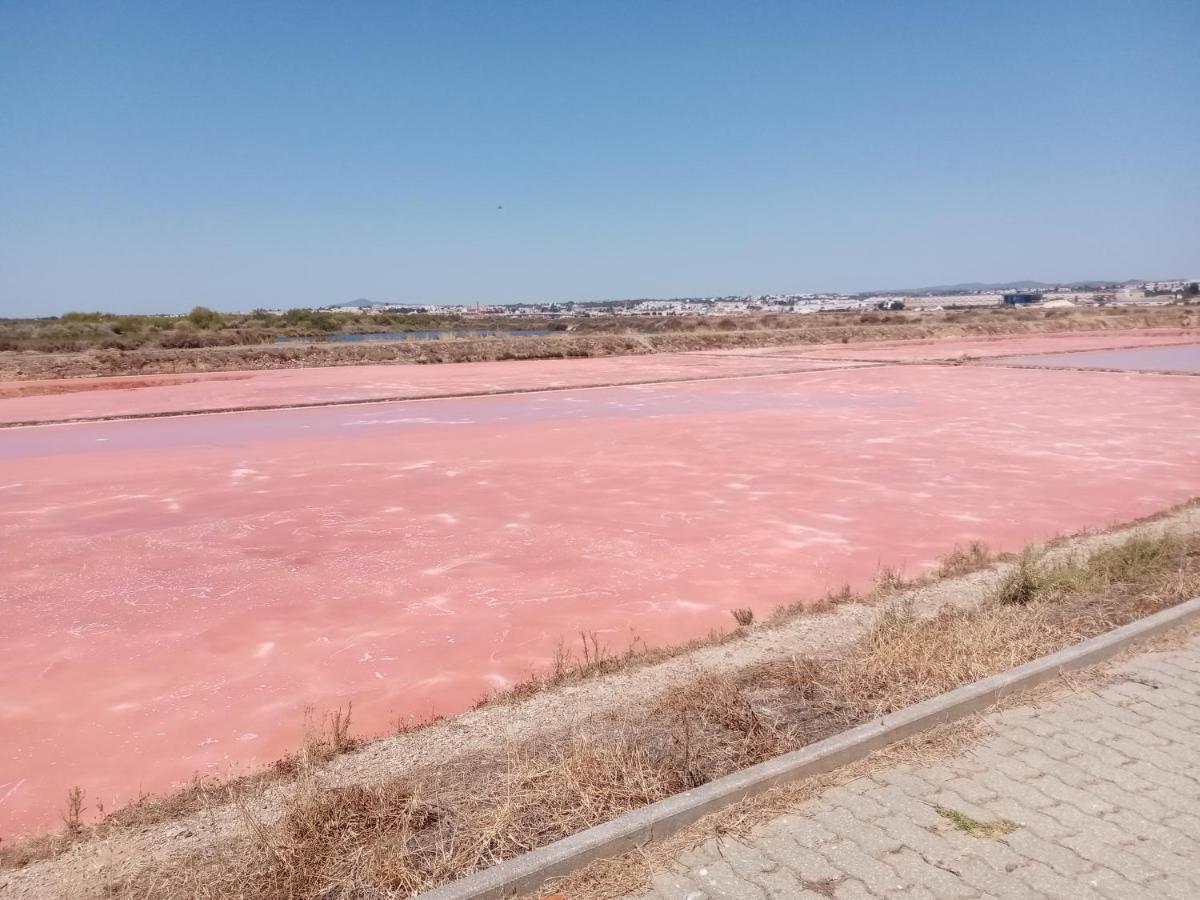 Le Boucanier Tavira Luaran gambar