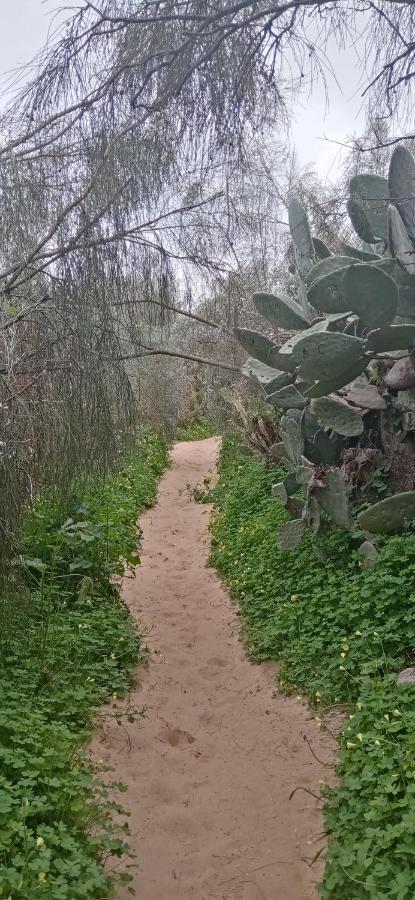 Le Boucanier Tavira Luaran gambar