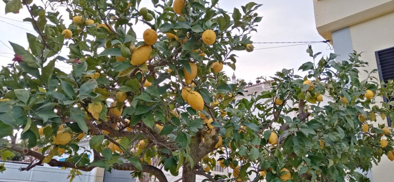 Le Boucanier Tavira Luaran gambar